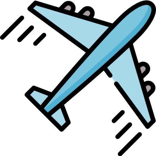 Flight Icon